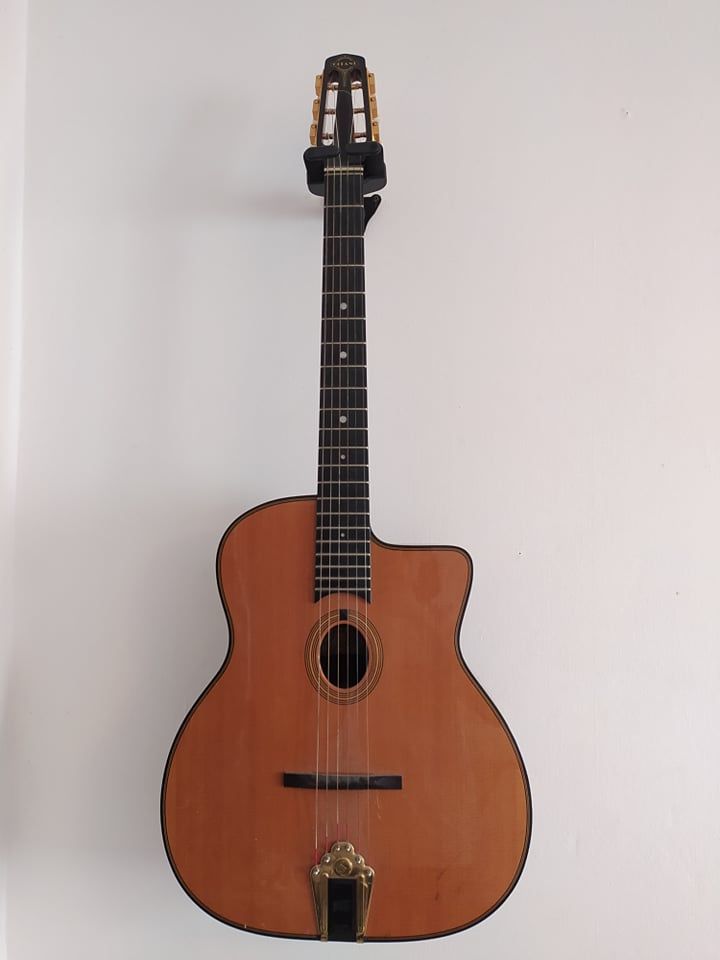 Petites annonces Gitane DG 255 Occasion guitare